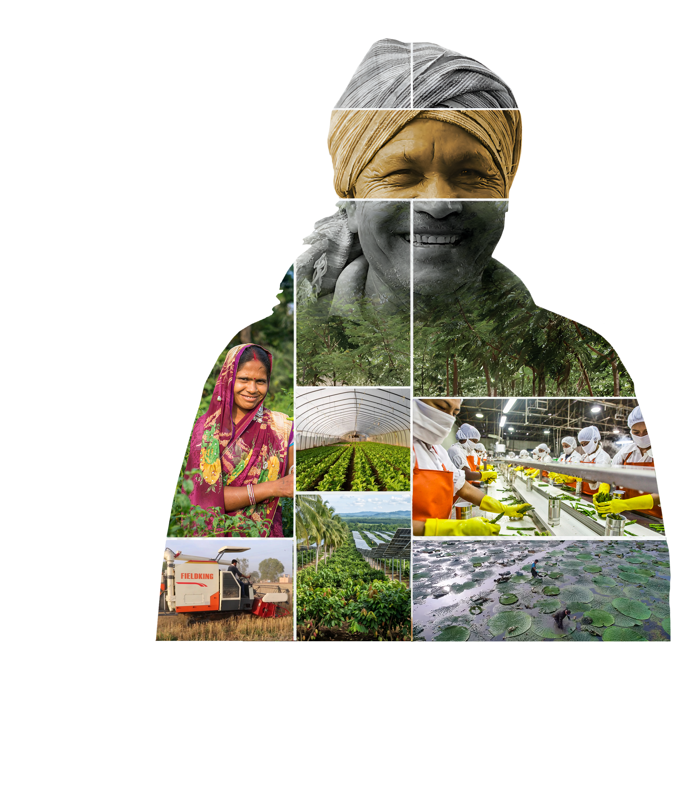 Farmer with Makhana